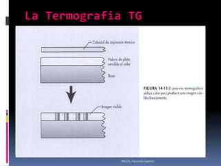 MEZA, Facundo Gastón
 