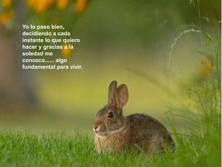 Yo lo paso bien,
decidiendo a cada
instante lo que quiero
hacer y gracias a la
soledad me
conozco...... algo
fundamental para vivir.
 