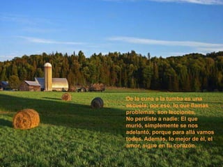 De la cuna a la tumba es una
escuela; por eso, lo que llamas
problemas, son lecciones.
No perdiste a nadie: El que
murió, simplemente se nos
adelantó, porque para allá vamos
todos. Además, lo mejor de él, el
amor, sigue en tu corazón.
 