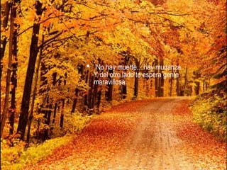 • No hay muerte... hay mudanza.
  Y del otro lado te espera gente
  maravillosa:
 
