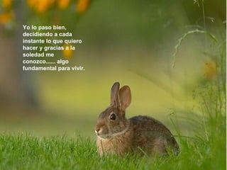 Yo lo paso bien,
decidiendo a cada
instante lo que quiero
hacer y gracias a la
soledad me
conozco...... algo
fundamental para vivir.
 