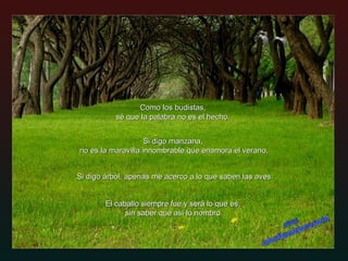 Como los budistas,  sé que la palabra no es el hecho.  Si digo árbol, apenas me acerco a lo que saben las aves Si digo manzana,  no es la maravilla innombrable que enamora el verano, El caballo siempre fue y será lo que es,  sin saber que así lo nombro. www. laboutiquedelpowerpoint. com 