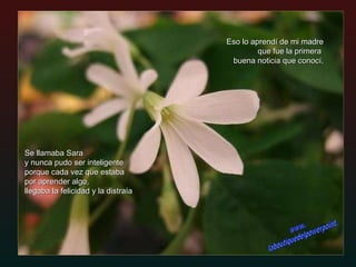 Eso lo aprendí de mi madre que fue la primera  buena noticia que conocí. Se llamaba Sara  y nunca pudo ser inteligente porque cada vez que estaba  por aprender algo, llegaba la felicidad y la distraía . www. laboutiquedelpowerpoint. com 
