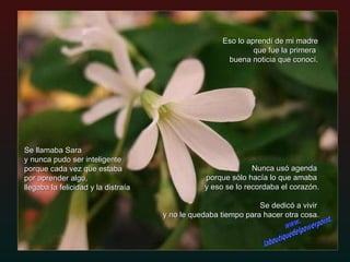 Eso lo aprendí de mi madre que fue la primera  buena noticia que conocí. Nunca usó agenda  porque sólo hacía lo que amaba  y eso se lo recordaba el corazón.   Se dedicó a vivir  y no le quedaba tiempo para hacer otra cosa. Se llamaba Sara  y nunca pudo ser inteligente porque cada vez que estaba  por aprender algo, llegaba la felicidad y la distraía www. laboutiquedelpowerpoint. com 