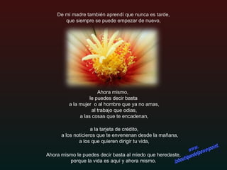 De mi madre también aprendí que nunca es tarde,   que siempre se puede empezar de nuevo,     a la tarjeta de crédito,    a los noticieros que te envenenan desde la mañana,   a los que quieren dirigir tu vida, Ahora mismo,  le puedes decir basta a la mujer  o al hombre que ya no amas,   al trabajo que odias,   a las cosas que te encadenan,   Ahora mismo le puedes decir basta al miedo que heredaste,  porque la vida es aquí y ahora mismo. www. laboutiquedelpowerpoint. com 