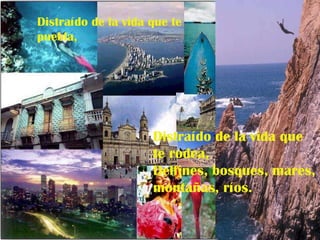 Distraído de la vida que te puebla, Distraído de la vida que te rodea, Delfines, bosques, mares, montañas, ríos. 
