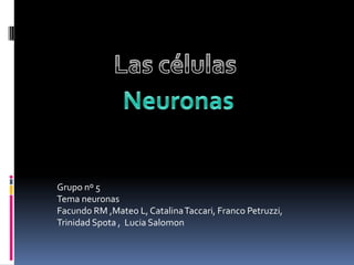 Las células Neuronas Grupo nº 5 Tema neuronas Facundo RM ,Mateo L, Catalina Taccari, Franco Petruzzi, Trinidad Spota ,  Lucia Salomon 