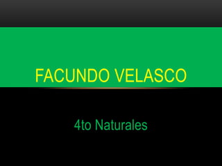 4to Naturales
FACUNDO VELASCO
 