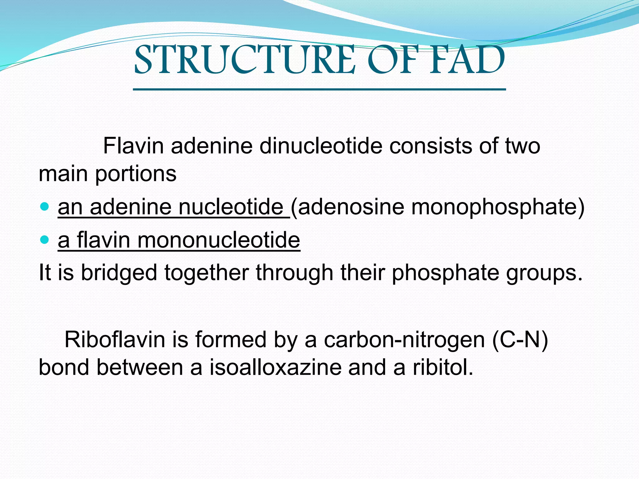 Fad Flavin Adenine Dinucleotide PPTX