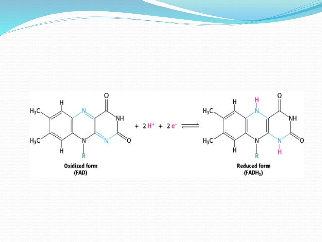 fad flavin adenine dinucleotide oxidized form of fadh2