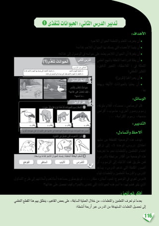 116
➊‫تتغذى‬‫احليوانات‬:‫الثاين‬‫الدر�س‬‫تدبري‬
:‫أهداف‬‫ل‬‫ا‬
‫الالحم؛‬ ‫احليوان‬ ‫واملتعلمة‬ ‫املتعلم‬ ‫يتعرف‬ ‫أن‬� ♦
‫غذاءه؛‬ ‫الالحم‬ ‫احليوان‬ ‫بها‬ ‫مي�سك‬ ‫التي‬ ‫أع�ضاء‬‫ل‬‫ا‬ ‫يتبينا‬ ‫أن‬�♦
‫غذائه؛‬ ‫إىل‬� ‫الو�صول‬ ‫يف‬ ‫حوا�سه‬ ‫على‬ ‫يعتمد‬ ‫الالحم‬ ‫احليوان‬ ‫أن‬� ‫يتعرفا‬ ‫أن‬�♦
‫العلمي‬ ‫بالنهج‬ ‫املتعلقة‬ ‫قدرتاهما‬ ‫يفتقا‬ ‫أن‬� ♦
،‫الدقيق‬ ‫التعبري‬ ،‫املالحظة‬ : ‫يف‬ ‫املتمثلة‬
‫املنطقي؛‬ ‫التفكري‬
‫(تلوين)؛‬ ‫فنيا‬ ‫يعربا‬ ‫أن‬� ♦
‫ويهتما‬ ‫أليفة‬‫ل‬‫ا‬ ‫باحليوانات‬ ‫يعتنيا‬ ‫أن‬� ♦
.‫بها‬
:‫الو�سائل‬
،‫ملونة‬ ‫أقالم‬� ،‫ممح��اة‬ ،‫الر�صا�ص‬ ‫قلم‬
‫أقرا�ص‬� ،‫حا�سوب‬ ،‫أخرى‬� ‫و�صور‬ ‫ر�سوم‬
... ،‫الكرا�سة‬ ‫ر�سوم‬ ،‫مدجمة‬
:‫التدبري‬
:‫أت�ساءل‬�‫و‬‫أالحظ‬�
‫م�شهد‬ ‫من‬ ‫املقتطفة‬ ‫الو�ضعية‬ ‫هذه‬ ‫تهدف‬
‫تركيز‬ ‫إىل‬� ،5 ‫الوحدة‬ ‫درو�س‬ ‫انطالق‬
‫تعر�ضه‬ ‫ما‬ ‫نحو‬ ‫واملتعلمات‬ ‫املتعلمني‬ ‫اهتمام‬
.‫بالدر�س‬ ‫مرتبطة‬ ‫أفكار‬� ‫من‬ ‫الو�ضعية‬ ‫هذه‬
‫أو‬� ،‫الر�سوم‬ ‫إىل‬� ‫االنتباه‬ ‫لفت‬ ‫طريق‬ ‫فعن‬
‫ي�ساعد‬ ،‫الدر�س‬ ‫تدعم‬ ‫التي‬ ‫املكملة‬ ‫ال�صور‬
‫لبناء‬ ‫واملتعلمات‬ ‫املتعلمني‬ ‫واملدر�سة‬ ‫املدر�س‬
‫ؤل‬�‫الت�سا‬ ‫طرح‬ ‫إىل‬� ‫أ�ستاذتهم‬�‫و‬ ‫أ�ستاذهم‬� ‫مب�ساعدة‬ ‫يتو�صلون‬ ‫ثم‬ ،...‫منقار‬ ،‫أ�سنان‬� ،‫حلم‬ :‫املو�ضوع‬ ‫يف‬ ‫لغوي‬ ‫قامو�س‬
‫غذائها؟‬ ‫على‬ ‫حت�صل‬ ‫وكيف‬ ‫باللحم؟‬ ‫تتغذى‬ ‫التي‬ ‫احليوانات‬ ‫هذه‬ ‫ا�سم‬ ‫ما‬ :‫ف�ضولهم‬ ‫يثري‬ ‫الذي‬
:‫أجنز‬�‫ثم‬‫أفكر‬�
‫التعلمي‬‫املقطع‬‫هذا‬‫بهم‬‫ينطلق‬،‫املفاهيم‬‫بع�ض‬‫على‬،‫ال�سابقة‬‫العملية‬‫خالل‬‫من‬،‫واملتعلمات‬‫املتعلمني‬‫تعرف‬‫مت‬‫بعدما‬
:‫أن�شطة‬� ‫أربعة‬� ‫عرب‬ ‫الدر�س‬ ‫من‬ ‫امل�ستهدفة‬ ‫التعلمات‬ ‫حت�صيل‬ ‫إىل‬�
62
: ِ‫س‬ْ‫َّر‬‫د‬‫ٱل‬ َ‫ن‬ِ‫م‬ ‫دافي‬ْ‫ه‬َ‫أ‬
‫اني‬ّ‫ث‬ْ‫ل‬‫ٱ‬ ُ‫س‬ْ‫َّر‬‫د‬‫ل‬َ‫ا‬
‫ُ؛‬‫ه‬َ‫ذاء‬ِ‫غ‬ ُ‫م‬ِ‫ح‬ ّ‫ٱلال‬ ُ‫وان‬َ‫ي‬َ‫ح‬ْ‫ل‬‫ٱ‬ ‫ها‬ِ‫ب‬ ‫ـ‬ُ‫ك‬ ِ‫ْس‬‫م‬ُ‫ي‬ ‫تي‬َّ‫ل‬‫ٱ‬ َ‫ضاء‬ ْ‫ع‬َ ْ‫ٱل‬ َ‫ف‬َّ‫ر‬َ‫ع‬َ‫ت‬َ‫أ‬ ْ‫ن‬َ‫أ‬ - ‫؛‬َ‫م‬ِ‫ح‬ ّ‫ٱلال‬ َ‫وان‬َ‫ي‬َ‫ح‬ْ‫ل‬‫ٱ‬ َ‫ف‬َّ‫ر‬َ‫ع‬َ‫ت‬َ‫أ‬ ْ‫ن‬َ‫أ‬ -
.ِ‫ه‬ِ‫ئ‬‫ذا‬ِ‫غ‬ ‫لى‬ِ‫إ‬ ِ‫ل‬‫ُصو‬‫و‬ْ‫ل‬‫ٱ‬ ‫في‬ ِ‫ه‬ ِّ‫واس‬َ‫ح‬ ‫لى‬َ‫ع‬ ُ‫د‬ِ‫م‬َ‫ت‬ْ‫ع‬َ‫ي‬ َ‫م‬ِ‫ح‬ ّ‫ٱلال‬ َ‫وان‬َ‫ي‬َ‫ح‬ْ‫ل‬‫ٱ‬ َّ‫ن‬َ‫أ‬ َ‫ف‬ ِ‫ش‬َ‫ت‬ْ‫ك‬َ‫أ‬ ْ‫ن‬َ‫أ‬ -
ُ‫ل‬َ‫ساء‬َ‫ت‬َ‫أ‬َ‫و‬ ُ‫ظ‬ِ‫لح‬ُ‫أ‬
:ُ‫ز‬ِ‫ج‬ْ‫ن‬ُ‫أ‬ َّ‫م‬ُ‫ث‬ ُ‫ر‬ِّ‫ك‬َ‫ف‬ُ‫أ‬
:ٍ‫وان‬َ‫ي‬َ‫ح‬ ِّ‫ل‬ُ‫ك‬ ِ‫ذاء‬ِ‫غ‬ َ‫ع‬ْ‫و‬َ‫ن‬ ُ‫د‬ِّ‫د‬َ‫ح‬ُ‫أ‬ َّ‫م‬ُ‫ث‬ ِ‫وانات‬َ‫ي‬َ‫ح‬ْ‫ل‬‫ٱ‬ َ‫م‬‫سو‬ُ‫ر‬ ُ‫ظ‬ِ‫لح‬ُ‫أ‬
:ِ‫ة‬َ‫ي‬ِ‫ذ‬ْ‫غ‬َّ‫ت‬‫ٱل‬ ‫في‬ ُ‫ل‬َّ‫َخ‬‫د‬َ‫ت‬َ‫ت‬ ‫تي‬َّ‫ل‬‫ٱ‬ َ‫ضاء‬ ْ‫ع‬َ ْ‫ٱل‬ ُ‫ن‬ِّ‫و‬َ‫ل‬ُ‫أ‬
:ِ‫ة‬َ‫ط‬ ِ‫واس‬ِ‫ب‬ ُ‫ه‬َ‫ذاء‬ِ‫غ‬ ُ‫م‬ِ‫ح‬ ّ‫ٱلال‬ ُ‫وان‬َ‫ي‬َ‫ح‬ْ‫ل‬‫ٱ‬ ‫ـ‬ُ‫ك‬ ِ‫س‬ْ‫م‬ُ‫ي‬ :َ‫ة‬َ‫ئ‬ِ‫خاط‬ْ‫ل‬‫ٱ‬ َ‫ة‬َ‫طاق‬ِ‫ب‬ْ‫ل‬‫ٱ‬ ُ‫ب‬ُ‫ط‬ ْ‫ش‬َ‫أ‬
.ِ‫م‬ْ‫ح‬َّ‫ل‬‫ٱل‬ِ‫ب‬ ‫ى‬ّ‫ذ‬َ‫غ‬َ‫ت‬َ‫ت‬ ‫وانات‬َ‫ي‬َ‫ح‬
‫ها؟‬ِ‫ئ‬‫ذا‬ِ‫غ‬ ‫لى‬َ‫ع‬ ُ‫ل‬ ُ‫ص‬ْ‫ح‬َ‫ت‬ َ‫ف‬ْ‫ي‬َ‫ك‬ -
‫ها؟‬ُ‫م‬ ْ‫ٱس‬ ‫ما‬ -
1
2
3
)1(‫ى‬ّ‫ذ‬َ‫غ‬َ‫ت‬َ‫ت‬ ُ‫وانات‬َ‫ي‬َ‫ح‬ْ‫ل‬َ‫ا‬
. . . . . . . . . . . . . . . .‫ـ‬ِ‫ب‬ ‫ى‬ّ‫ذ‬َ‫غ‬َ‫ت‬َ‫ي‬ . . . . . . . . . . . . . . . .‫ـ‬ِ‫ب‬ ‫ى‬ّ‫ذ‬َ‫غ‬َ‫ت‬َ‫ي‬ . . . . . . . . . . . . . . . .‫ـ‬ِ‫ب‬ ‫ى‬ّ‫ذ‬َ‫غ‬َ‫ت‬َ‫ي‬ . . . . . . . . . . . . . . . . . .‫ـ‬ِ‫ب‬ ‫ى‬ّ‫ذ‬َ‫غ‬َ‫ت‬َ‫ي‬
.‫رى‬ْ‫خ‬ُ‫أ‬ ٍ‫وانات‬َ‫ي‬َ‫ح‬ ‫لى‬َ‫ع‬ ْ‫و‬َ‫أ‬ ،ِ‫م‬ْ‫ح‬َّ‫ل‬‫ٱل‬ ‫لى‬َ‫ع‬ ‫ذائها‬ِ‫غ‬ ‫في‬ ُ‫د‬ِ‫م‬َ‫ت‬‫ع‬َ‫ت‬ ‫ها‬َّ‫ن‬َ‫ل‬ ً‫ة‬َ‫م‬ِ‫لح‬ ٍ‫وانات‬َ‫ي‬َ‫ح‬ ُ‫وانات‬َ‫ي‬َ‫ح‬ْ‫ل‬‫ٱ‬ ِ‫ه‬ِ‫ذ‬َ‫ه‬ ‫ى‬ّ‫م‬ َ‫س‬ُ‫ت‬
ِ‫راس‬ ْ‫ض‬َ ْ‫ٱل‬ِ‫ياب‬ْ‫ن‬َ ْ‫ٱل‬ِ‫ناقير‬َ‫م‬‫ـ‬ْ‫ل‬‫ٱ‬ِ‫ع‬ِ‫واط‬َ‫ق‬ْ‫ل‬‫ٱ‬
 