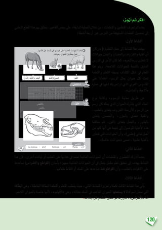 120
:‫أجنز‬�‫ثم‬‫أفكر‬�
‫التعلمي‬‫املقطع‬‫هذا‬‫بهم‬‫ينطلق‬،‫املفاهيم‬‫بع�ض‬‫على‬،‫ال�سابقة‬‫العملية‬‫خالل‬‫من‬،‫واملتعلمات‬‫املتعلمني‬‫تعرف‬‫مت‬‫بعدما‬
:‫أن�شطة‬� ‫أربعة‬� ‫عرب‬ ‫الدر�س‬ ‫من‬ ‫امل�ستهدفة‬ ‫التعلمات‬ ‫حت�صيل‬ ‫إىل‬�
:‫أول‬‫ل‬‫ا‬ ‫الن�شاط‬
‫يدركان‬)‫(ة‬‫املتعلم‬‫جعل‬‫إىل‬�‫الن�شاط‬‫هذا‬‫يهدف‬
‫حيوانات‬ ‫واجلمل‬ ‫واحل�صان‬ ‫واخلروف‬ ‫القنية‬ ‫أن‬�
‫الدر�س‬ ‫يف‬ ‫أمر‬‫ل‬‫ا‬ ‫كان‬ ‫كما‬ ،»‫بـــ«اللحم‬ ‫تتغذى‬ ‫ال‬
‫هذا‬ ‫ويتم‬ .‫الالحمة‬ ‫للحيوانات‬ ‫بالن�سبة‬ ‫ال�سابق‬
‫واملتعلمة‬ ‫املتعلم‬ ‫ي�سجله‬ ‫اكت�شاف‬ ‫�شكل‬ ‫يف‬ ‫التعلم‬
‫على‬ ‫اعتمادا‬ ،‫الر�سم‬ ‫ميثل‬ ‫حيوان‬ ‫كل‬ ‫حتت‬
‫عملية‬ ‫يف‬ ‫�شفهيا‬ ‫حتريكه‬ ‫مت‬ ‫الذي‬ ‫اللغوي‬ ‫القامو�س‬
.»‫أت�ساءل‬�‫و‬ ‫أالحظ‬�«
‫نوع‬ ‫وكتابة‬ ،‫الر�سوم‬ ‫معاينة‬ ‫طريق‬ ‫عن‬
‫ر�سم‬ ‫كل‬ ‫ميثله‬ ‫الذي‬ ‫احليوان‬ ‫يتناوله‬ ‫الذي‬ ‫الغذاء‬
،‫بالع�شب‬ ‫يتغذى‬ ‫اخلروف‬ :‫أربعة‬‫ل‬‫ا‬ ‫الر�سوم‬ ‫من‬
‫يتغذى‬ ‫واحل�صان‬ ،‫باجلزر‬ ‫تتغذى‬ ‫والقنية‬
‫مناق�شة‬ ‫تتم‬ ،‫بالتنب‬ ‫يتغذى‬ ‫واجلمل‬ ،‫بالبذور‬
‫من‬ ‫كلها‬ ‫أنها‬� ‫هي‬ ‫نتيجة‬ ‫إىل‬� ‫للو�صول‬ ‫أغذية‬‫ل‬‫ا‬ ‫هذه‬
‫تتغذى‬‫التي‬‫احليوانات‬‫أن‬�‫و‬،)‫(ع�شبي‬‫نباتي‬‫أ�صل‬�
.»‫عا�شبة‬ ‫«حيوانات‬ ‫ت�سمى‬ ، ‫ع�شبية‬ ‫أغذية‬�‫ب‬
:‫الثاين‬ ‫الن�شاط‬
‫هذا‬ ‫إن‬�‫ف‬ ،‫أخرى‬� ‫نباتات‬ ‫أو‬� ‫الع�شب‬ ‫على‬ ‫غذائها‬ ‫يف‬ ‫تعتمد‬ ‫العا�شبة‬ ‫احليوانات‬ ‫أن‬� ‫واملتعلمات‬ ‫املتعلمون‬ ‫أدرك‬� ‫بعدما‬
‫ت�ساعدها‬ )‫أ�رضا�س‬‫ل‬‫وا‬ ‫(القواطع‬ ‫أ�سنان‬�‫ب‬ ‫جمهزة‬ ‫العا�شبة‬ ‫احليوانات‬ ‫أن‬� ‫يف‬ ‫يتمثل‬ ‫مكمل‬ ‫تعلم‬ ‫حتقيق‬ ‫إىل‬� ‫يهدف‬ ‫الن�شاط‬
.‫طعامها‬ ‫التقاط‬ ‫أو‬� ‫امل�سك‬ ‫على‬ ‫ت�ساعدها‬ ‫فقط‬ ‫القواطع‬ ‫أن‬�‫و‬ ،‫بالع�شب‬ ‫االقتيات‬ ‫على‬
:‫الثالث‬ ‫الن�شاط‬
‫البطاقة‬ ‫وهي‬ ،‫اخلاطئة‬ ‫البطاقة‬ ‫واملتعلمة‬ ‫املتعلم‬ ‫ي�شطب‬ ‫حيث‬ ،‫الثاين‬ ‫للن�شاط‬ ‫وتعزيزا‬ ‫تكملة‬ ‫الثالث‬ ‫الن�شاط‬ ‫هذا‬ ‫أتي‬�‫ي‬
.‫الالحم‬ ‫باحليوان‬ ‫خا�صة‬ ‫أنها‬‫ل‬ ،»‫أنياب‬‫ل‬‫ا‬« ‫وهي‬ ،‫بغذائه‬ ‫امل�سك‬ ‫يف‬ ‫العا�شب‬ ‫احليوان‬ ‫ي�ستعملها‬ ‫ال‬ ‫أداة‬� ‫ا�سم‬ ‫حتمل‬ ‫التي‬
.‫ابتالعه‬ ‫قبل‬ ‫الطعام‬ ‫�سحق‬ ‫هو‬ ‫فدورها‬ ،»‫أ�رضا�س‬‫ل‬‫ا‬« ‫أما‬�
65
4
ُّ‫م‬ َّ‫لش‬َ‫ا‬ُّ‫م‬ َّ‫ٱلش‬َ‫و‬ ُ‫ْع‬‫م‬ َّ‫لس‬َ‫ا‬ُ‫ق‬ْ‫و‬َّ‫ٱلذ‬َ‫و‬ ُّ‫م‬ َّ‫ٱلش‬َ‫و‬ ُ‫ر‬ َ‫ص‬َ‫ب‬ْ‫ل‬َ‫ا‬
:ِ‫ه‬ ِّ‫واس‬َ‫َح‬‫و‬ ِ‫وان‬َ‫ي‬َ‫ح‬ْ‫ل‬‫ٱ‬ َ‫ن‬ْ‫ي‬َ‫ب‬ ٍّ‫ط‬َ‫خ‬ِ‫ب‬ ُ‫ل‬ ِ‫ص‬َ‫أ‬
.‫ها‬ِ‫ئ‬‫ذا‬ِ‫غ‬ ْ‫ن‬َ‫ع‬ ِ‫ث‬ْ‫َح‬‫ب‬ْ‫ل‬‫ٱ‬ ‫في‬ ‫ها‬ ِّ‫واس‬َ‫ح‬ ‫لى‬َ‫ع‬ ُ‫ة‬َ‫ب‬ ِ‫عاش‬ْ‫ل‬‫ٱ‬ ُ‫وانات‬َ‫ي‬َ‫ح‬ْ‫ل‬‫ٱ‬ ُ‫د‬ِ‫م‬َ‫ت‬ْ‫ع‬َ‫ت‬
: ِ‫مات‬ِ‫ل‬َ‫ك‬ْ‫ل‬‫ٱ‬ َ‫ن‬ِ‫م‬ ُ‫ب‬ ِ‫ناس‬ُ‫ي‬ ‫ما‬ِ‫ب‬ َ‫راغ‬َ‫ف‬ْ‫ل‬‫ٱ‬ ُ َ‫ل‬ْ‫م‬َ‫أ‬ َ‫م‬ُ‫ث‬ ُ‫ر‬ِّ‫ك‬َ‫ف‬ُ‫أ‬ ُ‫ص‬ِ‫ل‬ ْ‫خ‬َ‫ت‬ ْ‫س‬َ‫أ‬
ُ‫ق‬ِّ‫ب‬َ‫ط‬ُ‫أ‬
.. . . . . . . . . . . . . . . ِ‫ة‬َ‫ط‬ ِ‫واس‬ِ‫ب‬ ُ‫ه‬َ‫ذاء‬ِ‫غ‬ ُ‫ب‬ ِ‫عاش‬ْ‫ل‬‫ٱ‬ ُ‫وان‬َ‫ي‬َ‫ح‬ْ‫ل‬‫ٱ‬ ‫ـ‬ُ‫ك‬ ِ‫س‬ْ‫م‬ُ‫ي‬ -
،‫ها‬ِ‫ئ‬‫ذا‬ِ‫غ‬ ْ‫ن‬َ‫ع‬ ِ‫ث‬ْ‫َح‬‫ب‬ْ‫ل‬‫ٱ‬ ‫في‬ ِّ‫واس‬َ‫ح‬ْ‫ل‬‫ٱ‬ ‫لى‬َ‫ع‬ ُ‫َة‬‫ب‬ ِ‫عاش‬ْ‫ل‬‫ٱ‬ ُ‫َوانات‬‫ي‬َ‫ح‬ْ‫ل‬‫ٱ‬ ُ‫د‬ِ‫م‬َ‫ت‬ْ‫ع‬َ‫ت‬ -
.. . . . . . . . . . . . . . . َ‫و‬. . . . . . . . . . . . . . . . َ‫و‬. . . . . . . . . . . . . . . . ُ‫ل‬ِ‫م‬ْ‫ع‬َ‫ت‬ ْ‫س‬َ‫ت‬ ‫ها‬ُّ‫ل‬ُ‫ك‬ َ‫ي‬ِ‫َه‬‫و‬
‫مي‬َ‫ْج‬‫ع‬ُ‫م‬
les incisives : ُ‫ع‬ِ‫واط‬َ‫ق‬ْ‫ل‬َ‫ا‬ herbivore : ‫ب‬ِ‫عاش‬ l’herbe : ُ‫ب‬ْ‫ش‬ُ‫ع‬ْ‫ل‬َ‫ا‬
.ِ‫ر‬ َ‫ض‬ْ‫خ‬ ْ‫ٱل‬ِ‫ب‬ ِ‫ب‬ ِ‫عاش‬ْ‫ل‬‫ٱ‬ ِ‫وان‬َ‫ي‬َ‫ح‬ْ‫ل‬‫ٱ‬ َ‫نان‬ ْ‫س‬َ‫أ‬ ُ‫ن‬ِّ‫و‬َ‫ل‬ُ‫أ‬
.ِ‫ر‬َ‫م‬ْ‫ح‬ ْ‫ٱل‬ِ‫ب‬ ِِ‫م‬ِ‫ح‬ ّ‫ال‬َ‫ل‬‫ٱ‬ َ‫وان‬َ‫ي‬َ‫ح‬ْ‫ل‬‫ٱ‬ ِ‫نان‬ ْ‫س‬َ‫أ‬ ُ‫ن‬ِّ‫و‬َ‫ل‬ُ‫أ‬
 