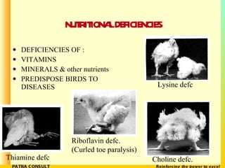 NUTRITIONAL DEFICIENCIES  <ul><li>DEFICIENCIES OF : </li></ul><ul><li>VITAMINS </li></ul><ul><li>MINERALS & other nutrient...