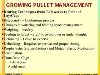 GROWING PULLET MANAGEMENT <ul><li>Rearing Techniques from 7-10 weeks to Point of Lay/Cage </li></ul><ul><li>Biosecurity – ...