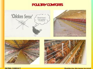 POULTRY COMFORTS 