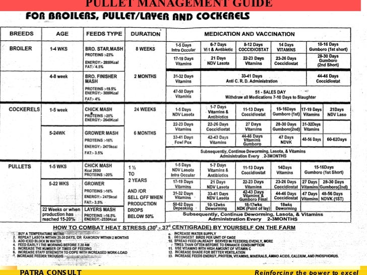 Broiler Chicken Medicine Chart
