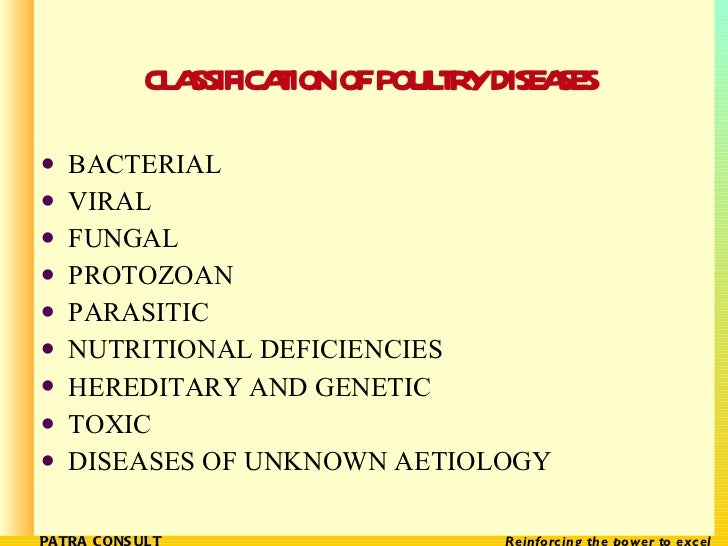 Poultry Classification Chart