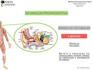 MESTRADO EM ACTIVIDADE FÍSICA E SAÚDE
                                     MEDICINA DESPORTIVA
                                         MARÇO 2012




INFORMAÇÃO PROPRIOCEPTIVA



                   APARELHO VESTIBULAR

                             Labirinto

                                 ÓRGÃO DO
                                 EQUILÍBRIO



                    D E T E TAA SENSAÇÃO DO
                    DESEQUILÍBRIO ATRAVÉS APENAS
                    DA ORIENTAÇÃO E MOVIMENTOS
                    DA CABEÇA



                                           DOUTORA Mª EMÍLIA ALVES
 