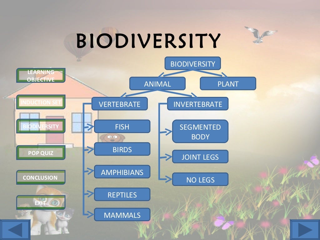 Biodiversity Science