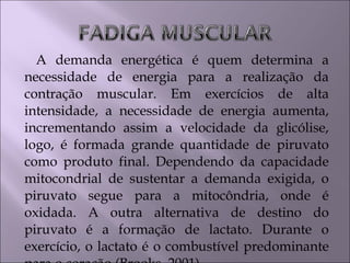 A demanda energética é quem determina a
necessidade de energia para a realização da
contração muscular. Em exercícios de alta
intensidade, a necessidade de energia aumenta,
incrementando assim a velocidade da glicólise,
logo, é formada grande quantidade de piruvato
como produto final. Dependendo da capacidade
mitocondrial de sustentar a demanda exigida, o
piruvato segue para a mitocôndria, onde é
oxidada. A outra alternativa de destino do
piruvato é a formação de lactato. Durante o
exercício, o lactato é o combustível predominante
 