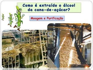 Moagem e Purificação
 