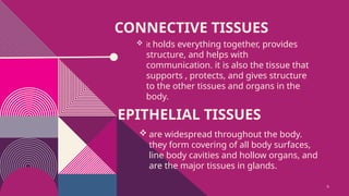 animal tissue group 11 in animal science | PPTX