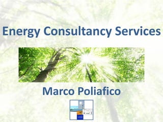 Energy Consultancy Services
Marco Poliafico
 