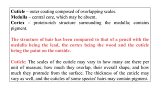 Comprehensive Faecal Analysis and Pugmark Identification in Wildlife ...