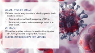GRAM – STAINED SMEAR:
Faeces contain many bacteria in a healthy person. Such
situations include:
1. Presence of curved bacilli suggestive of Vibrio
2. Presence of yeasts in an immunocompromised host
or an infant.
ZN STAIN:
Modified acid fast stain can be used for identification
of Cryptosporodium, Isospora & Cyclospora
ELECTRON MICROSCOPY FOR VIRUSES.
 