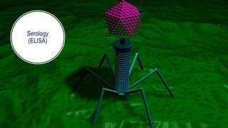 Serology
(ELISA)
 