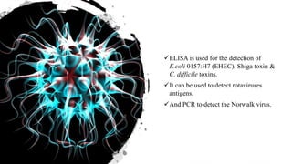 ELISA is used for the detection of
E.coli 0157:H7 (EHEC), Shiga toxin &
C. difficile toxins.
It can be used to detect rotaviruses
antigens.
And PCR to detect the Norwalk virus.
 