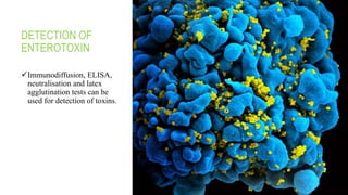 DETECTION OF
ENTEROTOXIN
Immunodiffusion, ELISA,
neutralisation and latex
agglutination tests can be
used for detection of toxins.
 