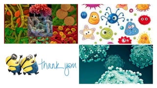 Diarrhea & Food poisoning