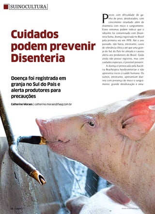 Doença foi registrada em
granja no Sul do País e
alerta produtores para
precauções
Catherine Moraes | catherine.moraes@faeg.com.br
Cuidados
podem prevenir
Disenteria
Suinocultura
P
orcos com dificuldade de ga-
nho de peso, desidratados, com
crescimento retardado além de
disenteria com muco e sangramento.
Estes sintomas podem indicar que o
rebanho foi contaminado com Disen-
teria Suína, doença registrada no Brasil
pela primeira vez em 1978. Até o ano
passado, não havia, entretanto, casos
de relevância clínica até que uma gran-
ja do Sul do País foi afetada e causou
alerta aos produtores do Brasil. Goiás
ainda não possui registros, mas com
cuidados especiais, é possível prevenir.
A doença é provocada pela bacté-
ria Brachyspira hyodysenteriae e não
apresenta riscos à saúde humana. Os
suínos, entretanto, apresentam diar-
reia com presença de muco e sangra-
mento; grande desidratação e ema-
Bebedouros não
podem favorecer a
contaminação fecal
18 | CAMPO Julho / 2013 www.sistemafaeg.com.br
 