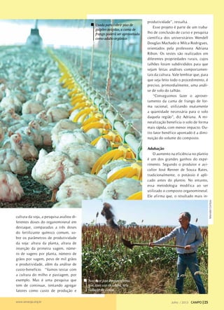 MendelCortizo
Usada para cobrir piso de
galpões avícolas, a cama de
frango poderá ser aproveitada
como adubo orgânico
cultura da soja, a pesquisa avaliou di-
ferentes doses do organomineral em
destaque, comparadas a três doses
do fertilizante químico comum, so-
bre os parâmetros de produtividade
da soja: altura da planta, altura de
inserção da primeira vagem, núme-
ro de vagens por planta, número de
grãos por vagem, peso de mil grãos
e produtividade, além da análise de
custo-benefício. “Vamos testar com
a cultura do milho e pastagem, por
exemplo. Mas é uma pesquisa que
tem de continuar, tentando agregar
fatores como custo de produção e
produtividade”, ressalta.
Esse projeto é parte de um traba-
lho de conclusão de curso e pesquisa
científica dos universitários Wendell
Douglas Machado e Milca Rodrigues,
orientados pela professora Adriana
Ribon. Os testes são realizados em
diferentes propriedades rurais, cujos
talhões foram subdivididos para que
sejam feitas análises comportamen-
tais da cultura. Vale lembrar que, para
que seja feito todo o procedimento, é
preciso, primordialmente, uma análi-
se de solo do talhão.
“Conseguimos fazer o aprovei-
tamento da cama de frango de for-
ma racional, utilizando exatamente
a quantidade necessária para o solo
daquela região”, diz Adriana. A mi-
neralização beneficia o solo de forma
mais rápida, com menor impacto. Ou-
tro fator benéfico apontado é a dimi-
nuição do volume do composto.
Adubação
O aumento na eficiência no plantio
é um dos grandes ganhos do expe-
rimento. Segundo o produtor e avi-
cultor José Renner de Souza Rates,
tradicionalmente, o potássio é apli-
cado antes do plantio. No entanto,
essa metodologia modifica ao ser
utilizado o composto organomineral.
Ele afirma que, o resultado mais in-
Avicultor José Renner afirma
que, com uso de adubo, teve
redução de custos
Julho / 2013 CAMPO | 25www.senargo.org.br
 