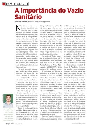 CAMPO ABERTO
N
os últimos anos, os pro-
dutores brasileiros têm
convivido com o apa-
recimento de pragas e doenças
com alto potencial de danos eco-
nômicos. Isso se deve principal-
mente ao fato da intensificação
dos cultivos e o aumento da área
plantada no país, com períodos
cada vez menores de ausência
de lavouras nas propriedades,
principalmente nas regiões com
o uso de irrigação. Frente a este
problema são utilizados diferen-
tes métodos visando mitigar os
danos causados por estas molés-
tias e facilitar seu controle, tendo
destaque entre eles o emprego do
vazio sanitário, já instaurado para
alguns cultivos.
Por vazio sanitário entende-
-se a ausência total de plantas
cultivadas ou voluntárias no
campo. Durante o período de
vazio sanitário, todas as plantas
voluntárias ou “guaxas”, hos-
pedeiras da praga alvo, devem
ser destruídas, mediante ao uso
produtos químicos ou métodos
físicos, como o uso de grade,
sendo delimitados prazos para
esta destruição. Entre os bene-
fícios do uso do vazio sanitário,
destaca-se a diminuição de ocor-
rência da doença ou praga alvo,
levando a um menor uso de de-
fensivos químicos e redução nos
custos de produção.
Dentre os períodos de vazios
sanitários já vigentes no país, te-
mos destaque para o da soja, que
ocorre entre os meses de junho
a setembro, variando de acordo
com a legislação de cada estado.
Este período sem o cultivo de
soja ocorre para evitar os pro-
blemas relacionados ao fungo da
Ferrugem Asiática (Phakopsora
pachyrhizi). Este fungo é biotró-
fico, ou seja, necessita de plantas
vivas de soja, ou outro hospe-
deiro, para sobreviver. Por este
fato, o período de vazio sanitário
diminui a ocorrência de inóculos
da doença, por reduzir a quan-
tidade de tecido vivo disponível
para o fungo, minimizando ou
retardando sua ocorrência.
No estado de Goiás, o perí-
odo de vazio sanitário da soja é
regulamentado pela Instrução
Normativa Nº003 de 2010, da
Agência Goiana de Defesa Agro-
pecuária, AGRODEFESA. Nesta
normativa fica proibida a presen-
ça de plantas de soja durante o
período de 01 de julho a 30 de
setembro de cada ano, ficando
autorizada a semeadura a partir
de 01 de outubro. Em casos de
cultivos para produção de semen-
tes genéticas ou para a pesquisa
científica, ficam autorizados os
cultivos mediante a autorização
prévia da AGRODEFESA.
Apesar do vazio sanitário
da soja ter como grande objeti-
vo o controle da ferrugem asiá-
tica, este período de ausência
de plantas hospedeiras pode
ajudar na diminuição popula-
cional de outras pragas, como a
Mosca Branca (Bemisia tabaci)
e a lagarta Helicoverpa armige-
ra, mesmo apresentando outros
hospedeiros principais.
Em Goiás, além do vazio sani-
tário para a cultura da soja, temos
também um período de vazio
para as culturas do tomate e do
algodão. No caso do tomate, o
vazio foi implementado mediante
a Instrução Normativa Nº006 da
AGRODEFESA, tendo iniciado em
2011. Nesta instrução ficam defi-
nidos os períodos para plantio do
tomate, seja ele rasteiro ou tutora-
do, visando diminuir os impactos
negativos da Mosca Branca (Be-
misia tabaci) para a cultura, sendo
este período variável dependendo
da região do estado. Já no caso
do algodão, a Instrução Normati-
va vigente é a Nº005, de 2010, e
nela também fica definido o pe-
ríodo de plantio para cada região
do estado, visando o controle do
Bicudo do Algodoeiro (Anthono-
mus grandis). Outro importante
parâmetro definido nestas nor-
mativas é o tempo máximo para
destruição dos restos culturais e
eliminação de plantas voluntárias.
Frente à necessidade de ali-
mentar uma população mundial
cada vez maior, é necessário
o aumento das produtividades
atuais e a intensificação dos cul-
tivos. Por este fator, estamos
diante a uma realidade de cons-
tantes mudanças no ambiente
rural, com o aparecimento de
novas pragas e doenças, as quais
nos forçam ao uso de diferentes
práticas de manejo visando seu
controle. Por este motivo, o res-
peito às práticas estabelecidas
nos vazios sanitários é de suma
importância para garantirmos
uma produção cada vez maior,
sem elevados custos e com me-
nor impacto ambiental.
A importância do Vazio
Sanitário
Cristiano Palavro
é engenheiro agrô-
nomo e consultor
técnico do Sistema
Faeg/Senar para
a área de cereais,
fibras e oleaginosas
MendelCortizo
Cristiano Palavro | cristiano.palavro@faeg.com.br
38 | CAMPO Julho / 2013 www.sistemafaeg.com.br
 