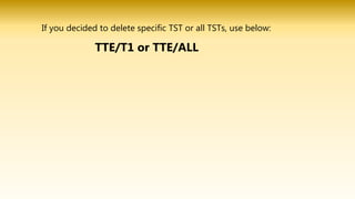 If you decided to delete specific TST or all TSTs, use below:
TTE/T1 or TTE/ALL
 