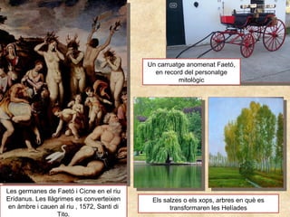 Les germanes de Faetó i Cicne en el riu
Erídanus. Les llàgrimes es converteixen
en àmbre i cauen al riu , 1572, Santi di
Tito.
Un carruatge anomenat Faetó,
en record del personatge
mitològic
Els salzes o els xops, arbres en què es
transformaren les Helíades
 