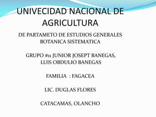 UNIVECIDAD NACIONAL DE
AGRICULTURA
DE PARTAMETO DE ESTUDIOS GENERALES
BOTANICA SISTEMATICA
GRUPO #11 JUNIOR JOSEPT BANEGAS,
LUIS OBDULIO BANEGAS
FAMILIA : FAGACEA
LIC. DUGLAS FLORES
CATACAMAS, OLANCHO

 