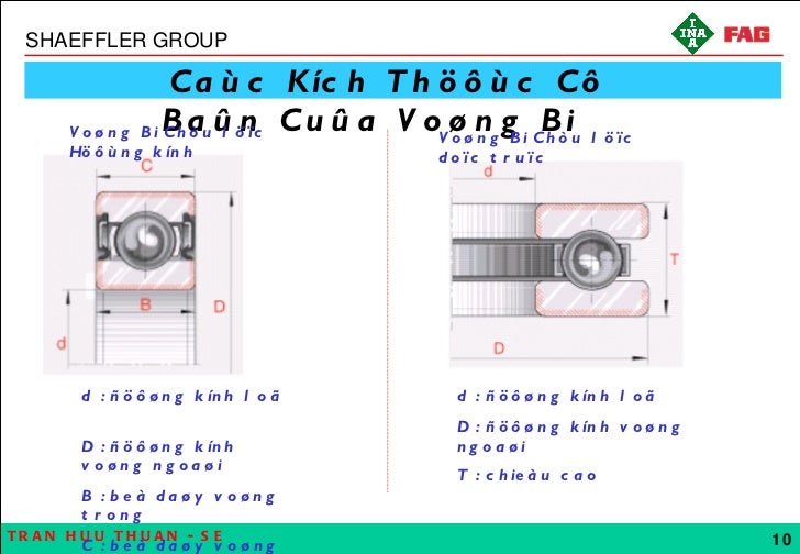 Fag Bearings Supplied By Anh Duong Co Ltd