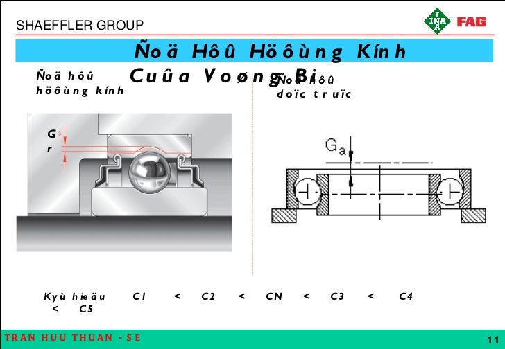 Fag Bearings Supplied By Anh Duong Co Ltd