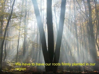 We have to have our roots firmly planted in our region 