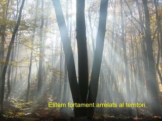 Estem fortament arrelats al territori 