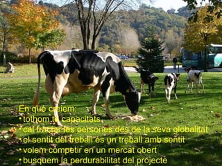 En què creiem: tothom té capacitats cal tractar les persones des de la seva globalitat el sentit del treball és un treball amb sentit volem competir en un mercat obert busquem la perdurabilitat del projecte 