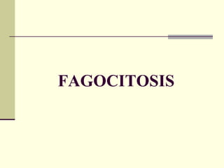 FAGOCITOSIS
 