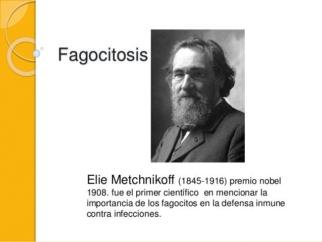 Fagocitosis