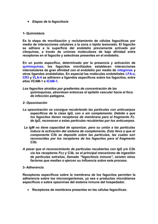 • Etapas de la fagocitosis
1- Quimiotáxis
Es la etapa de movilización y reclutamiento de células fagocíticas por
medio de interacciones celulares a la zona o tejido lesionado. El fagocito
se adhiere a la superficie del endotelio previamente activado por
citoquinas, a través de uniones moleculares de baja afinidad entre
receptores en el fagocito y selectinas presentes en el endotelio.
En un punto específico, determinado por la presencia y activación de
quimioquinas, los fagocitos movilizados establecen interacciones
intercelulares de gran afinidad con el endotelio por medio de integrinas y
otros ligandos endoteliales. En especial las moléculas endoteliales LFA-a,
CR3 y VLA-4 se adhieren a ligandos específicos sobre los fagocitos, entre
ellos VCAM-1 e ICAM-1.
Los fagocitos atraídos por gradientes de concentración de las
quimioquinas, atraviesan entonces el epitelio vascular hacia el foco
de infección patógena.
2- Opsonización
La opsonización se consigue recubriendo las partículas con anticuerpos
específicos de la clase IgG, con o sin complemento. Debido a que
los fagocitos tienen receptores de membrana para el fragmento Fc.
de IgG, reconocen a estas partículas recubiertas por los anticuerpos.
La IgM no tiene capacidad de opsonizar, pero su unión a las partículas
induce la activación del sistema de complemento. Esto lleva a que el
componente C3b se deposite sobre las partículas, las cuales son
reconocidas por los receptores de los fagocitos para el fragmento
C3b.
A pesar que el reconocimiento de partículas recubiertas con IgG y/o C3b
vía los receptores Fcγ y C3b, es el principal mecanismo de ingestión
de partículas extrañas, llamado “fagocitosis inmune”, existen otros
factores que median o ejercen su influencia sobre este proceso.
3- Adherencia
Receptores específicos sobre la membrana de los fagocitos permiten la
adherencia sobre los microorganismos, ya sea a productos microbianos
específicos o sobre opsoninas del sistema inmune del hospedador.
• Receptores de membrana presentes en las células fagocíticas:
 