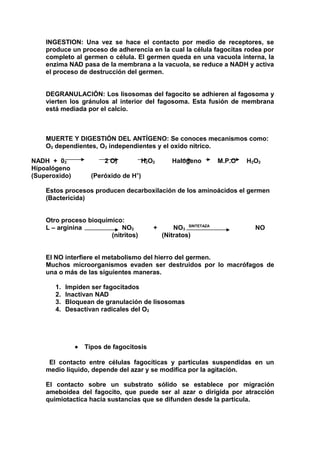 INGESTION: Una vez se hace el contacto por medio de receptores, se
produce un proceso de adherencia en la cual la célula fagocitas rodea por
completo al germen o célula. El germen queda en una vacuola interna, la
enzima NAD pasa de la membrana a la vacuola, se reduce a NADH y activa
el proceso de destrucción del germen.
DEGRANULACIÓN: Los lisosomas del fagocito se adhieren al fagosoma y
vierten los gránulos al interior del fagosoma. Esta fusión de membrana
está mediada por el calcio.
MUERTE Y DIGESTIÓN DEL ANTÍGENO: Se conoces mecanismos como:
O2 dependientes, O2 independientes y el oxido nítrico.
NADH + 02 2 O2
-
H2O2 Halógeno M.P.O H2O2
Hipoalógeno
(Superoxido) (Peróxido de H+
)
Estos procesos producen decarboxilación de los aminoácidos el germen
(Bactericida)
Otro proceso bioquímico:
L – arginina NO2 + NO3
SINTETAZA
NO
(nitritos) (Nitratos)
El NO interfiere el metabolismo del hierro del germen.
Muchos microorganismos evaden ser destruidos por lo macrófagos de
una o más de las siguientes maneras.
1. Impiden ser fagocitados
2. Inactivan NAD
3. Bloquean de granulación de lisosomas
4. Desactivan radicales del O2
• Tipos de fagocitosis
El contacto entre células fagocíticas y partículas suspendidas en un
medio liquido, depende del azar y se modifica por la agitación.
El contacto sobre un substrato sólido se establece por migración
ameboidea del fagocito, que puede ser al azar o dirigida por atracción
quimiotactica hacia sustancias que se difunden desde la partícula.
 