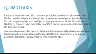 QUIMIOTAXIS
Las situaciones de infección o trauma, propician cambios en el microambiente
tisular que dan origen a la formación de compuestos exógenos (los derivados de
los microorganismos) como endógenos (los que resultan de las alteraciones
tisulares), con actividad quimiotáctica. Para que las células fagocíticas acudan a
los sitios de lesión.
son pequeñas moléculas que consisten en lípidos (prostaglandinas, leucotrienos y
tromboxano), aminoácidos modificados (histamina, serotonina) y pequeñas
proteínas (citocinas, complemento, interleucinas etc.)
 
