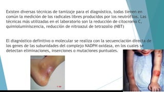 Existen diversas técnicas de tamizaje para el diagnóstico, todas tienen en
común la medición de los radicales libres producidos por los neutrófilos. Las
técnicas más utilizadas en el laboratorio son la reducción de citocromo C,
quimioluminiscencia, reducción de nitroazul de tetrazolio (NBT)
El diagnóstico definitivo o molecular se realiza con la secuenciación directa de
los genes de las subunidades del complejo NADPH oxidasa, en los cuales se
detectan eliminaciones, inserciones o mutaciones puntuales.
 
